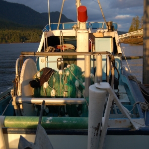 SE Alaska Gillnetter