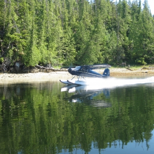 Take off from Foggy Bay